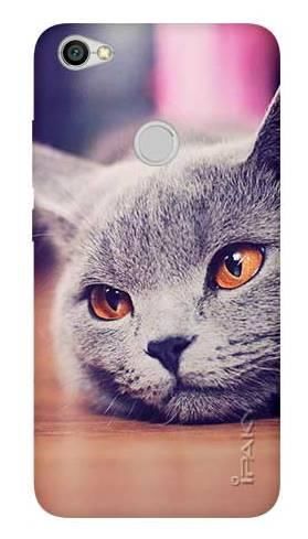 Etui IPAKY Effort lazy cat na Xiaomi Redmi Note 5a Prime +szkło hartowane