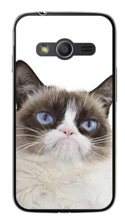 Foto Case Samsung GALAXY TREND 2 LITE G318h grumpy cat