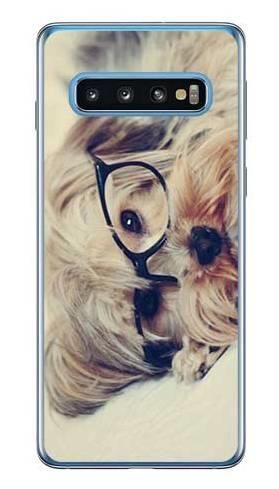 Foto Case Samsung Galaxy S10 pies w okularach