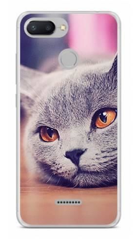 Foto Case Xiaomi Redmi 6 lazy cat