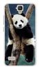 Foto Case Huawei ASCEND Y5 panda na drzewie