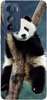 Foto Case Motorola Moto Edge 30 panda na drzewie
