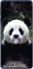 Foto Case Nokia 1 PLUS śmieszna panda