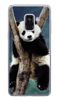 Foto Case Samsung Galaxy A5 2018 / A8 2018 panda na drzewie