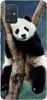Foto Case Samsung Galaxy A51 panda na drzewie
