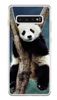Foto Case Samsung Galaxy S10 Plus panda na drzewie